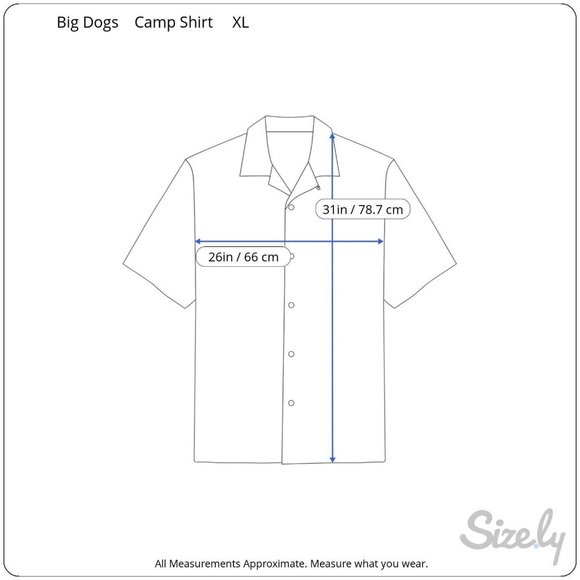 Big Dogs vintage Men Hawaiian camp shirt p2p 26 XL aloha luau tropical alcohol - Picture 2 of 8